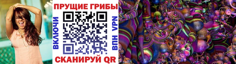 Галлюциногенные грибы Psilocybe  наркотики  Севастополь 