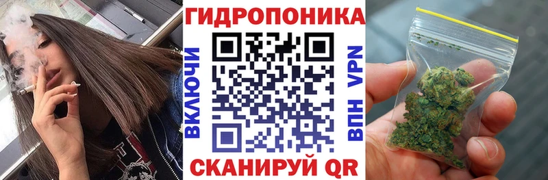 Шишки марихуана OG Kush что такое Севастополь